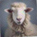 755c9f9c6aa5.png