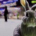 56a7f9963a0c.png