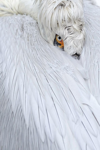 1738703282 295703885.jpg