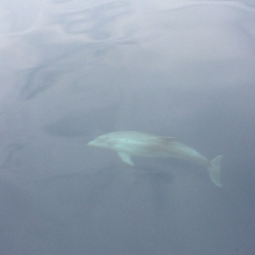 62011856 2389892507922026 7801433249723868723 n.jpg