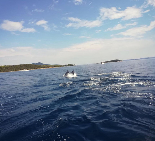 64507159 443380132908157 2137264914953826028 n.jpg