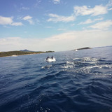 64507159 443380132908157 2137264914953826028 n