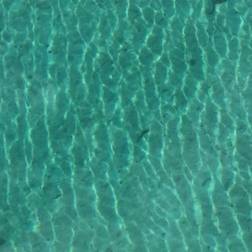 62650477 460424291400741 8484516673535031829 n.jpg