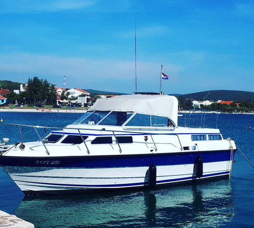 61560336 656942204719248 7241803561026413748 n.jpg