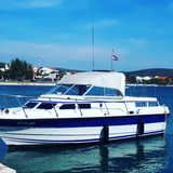 61560336 656942204719248 7241803561026413748 n