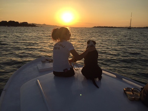 65173071 268189670805799 7308054465530815559 n.jpg