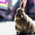 215f8826a060.png