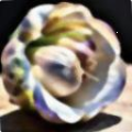 6fa19e8d9564.png