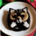 abd7913a444c.png