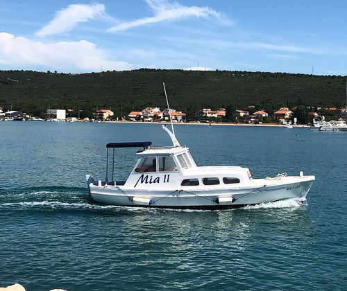 107085383 275337503566206 2504778763178809356 n.jpg