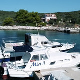 118391387 170325067918825 5399688122946537916 n