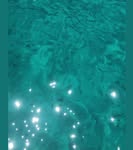 107442807 1187946171569158 6097940752284659117 n.jpg