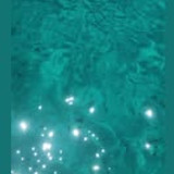 107442807 1187946171569158 6097940752284659117 n