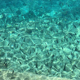 110610959 329454638063646 3989020359536588721 n