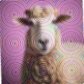 c243425b108c.png