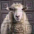 5f3583df061c.png