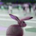 96df038fecf7.png