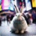 207ef98a687c.png