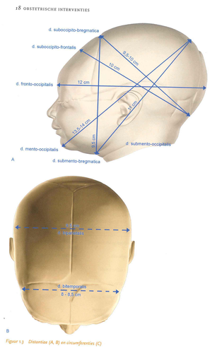 fde0ffe721f3.png