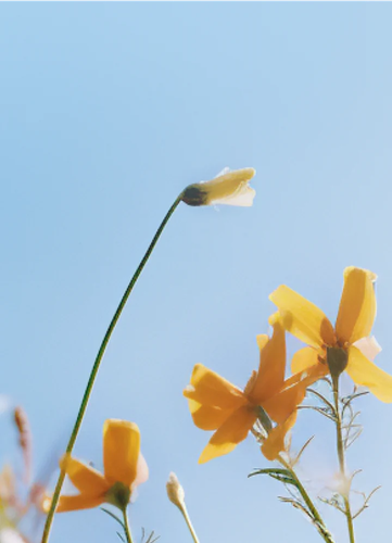 577ffd8e70a0.png