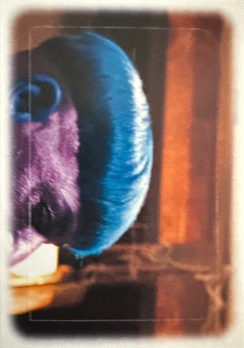 96.jpg