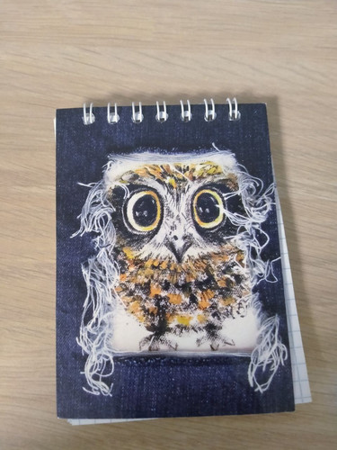 1738603370 617530120.jpg