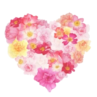 1738604985 934760998.webp