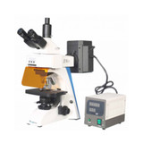 Fluorescence Microscope LFM C11