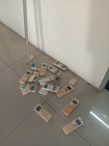 IMG 20241113 120419.jpg