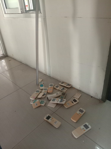 IMG 20241113 120535.jpg