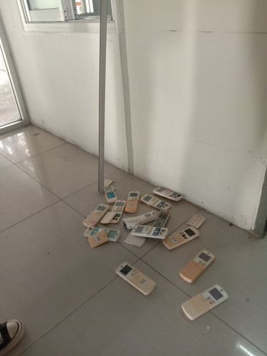 IMG 20241113 120529.jpg