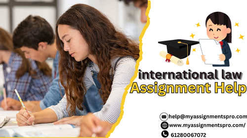 international law assignment help.png