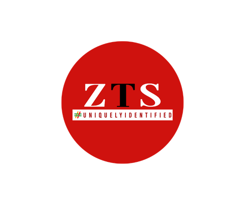 Offering Best Shopify Developer in India.png