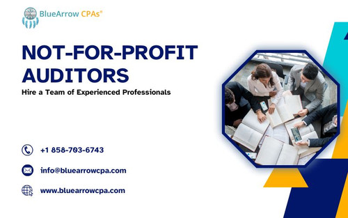 Not for profit auditors.jpg