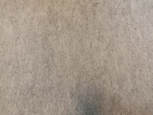 IMG 20241113 140734.jpg