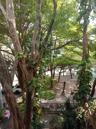 IMG 20241113 144540.jpg