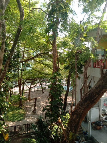 IMG 20241113 144543.jpg