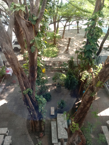 IMG 20241113 144600.jpg