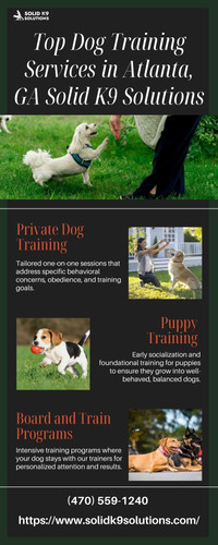 Top Dog Training Services in Atlanta, GA Solid K9 Solutions.jpg