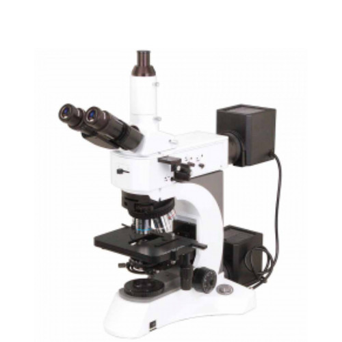 Upright Metallurgical microscopes LMM B11.jpg