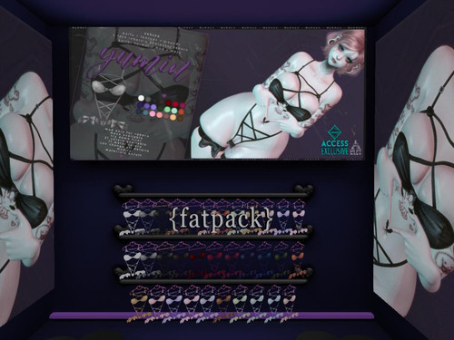 Minuit acc111224.jpg