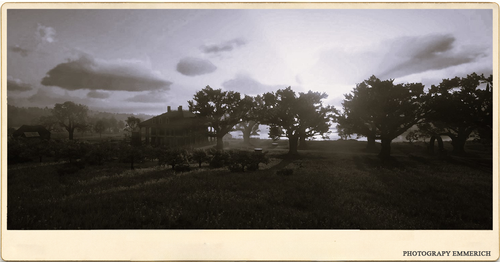 Photography Emmerich braithwait 3.png