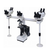 Multi Viewing Biological Microscope LMB A10