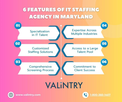 IT Staffing Agency in Maryland.jpg