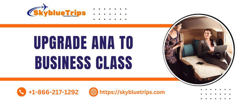 Upgrade ANA to Business Class.jpg