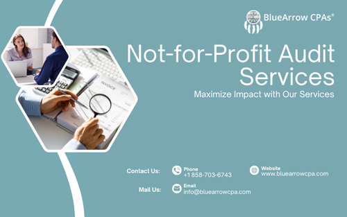 Not for Profit Audit Services.png