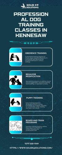 Professional Dog Training Classes in Kennesaw.jpg