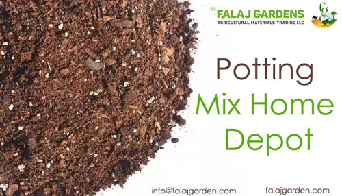 potting mix home depot.jpg