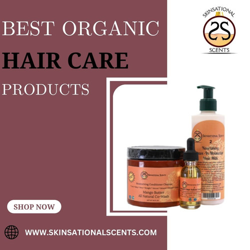 Best Organic Hair Care Products.jpg