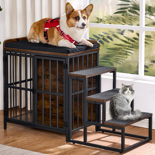 未标题 1 恢复的 恢复的 恢复的.jpg